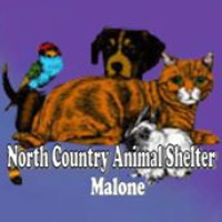North Country Animal Shelter